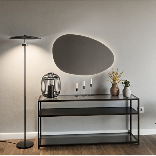 Oglindă organică lustruită cu iluminare - ZYTA LED