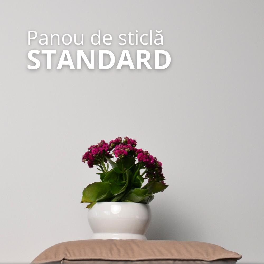 Panou de Standard