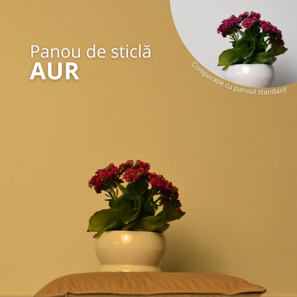 Panou de Aur