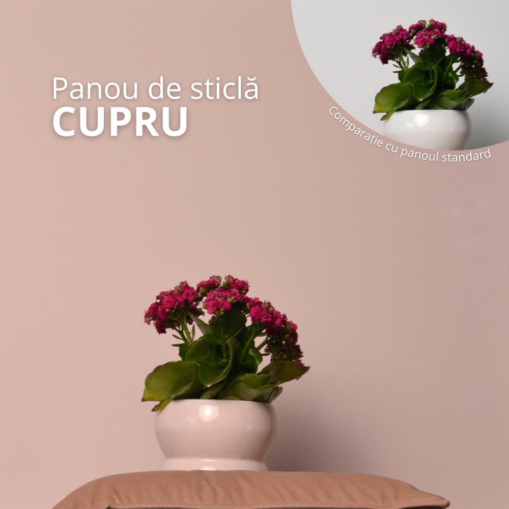 Panou de Cupru