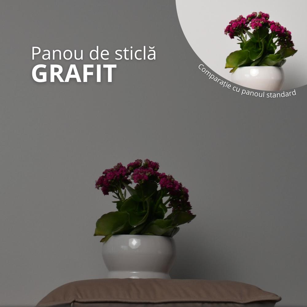Panou de grafit