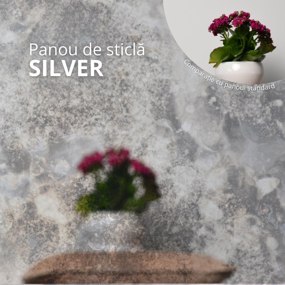 Panou de Silver