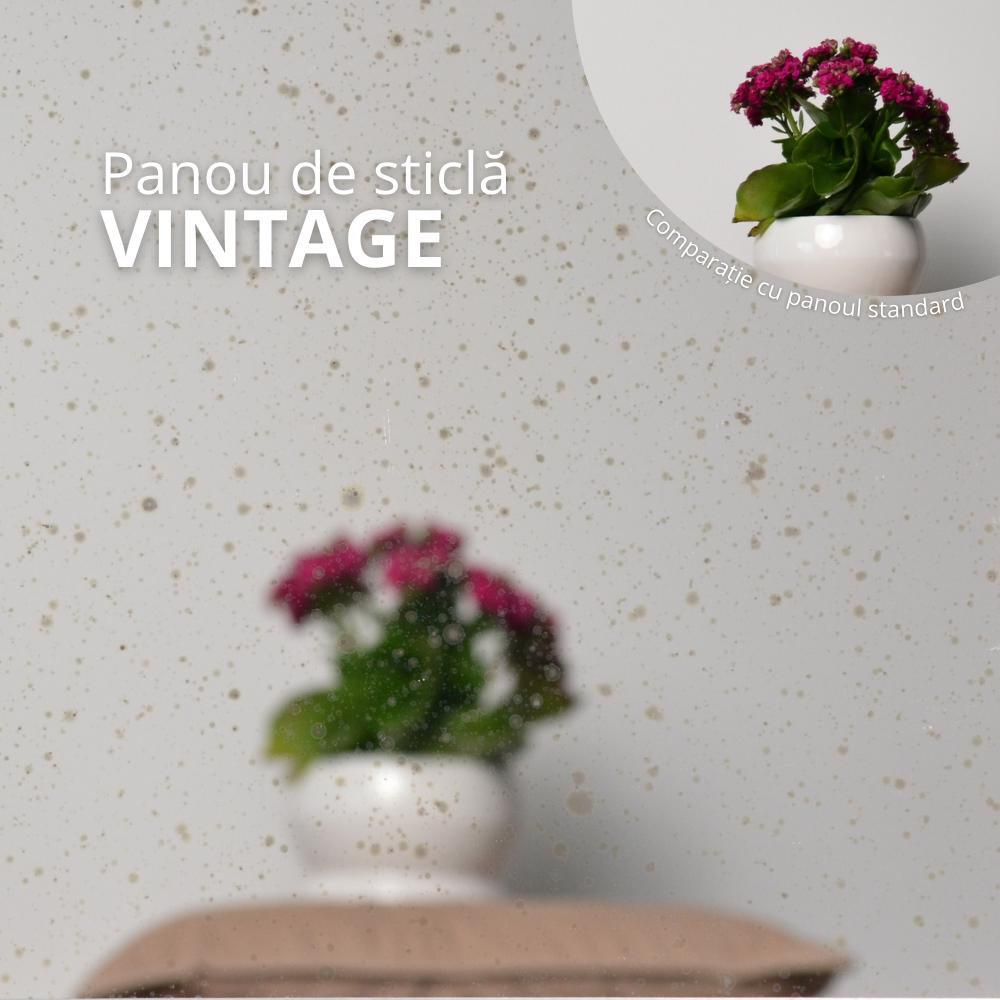 Panou de Vintage