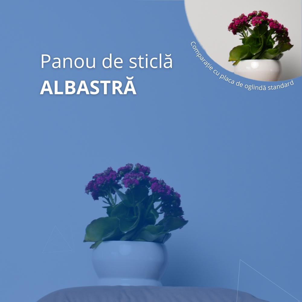 Panou albastru